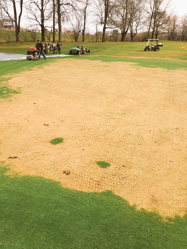anthracnose's tweet photo. 6 green today vs last year same time :)) http://t.co/BL0FFf4uyw