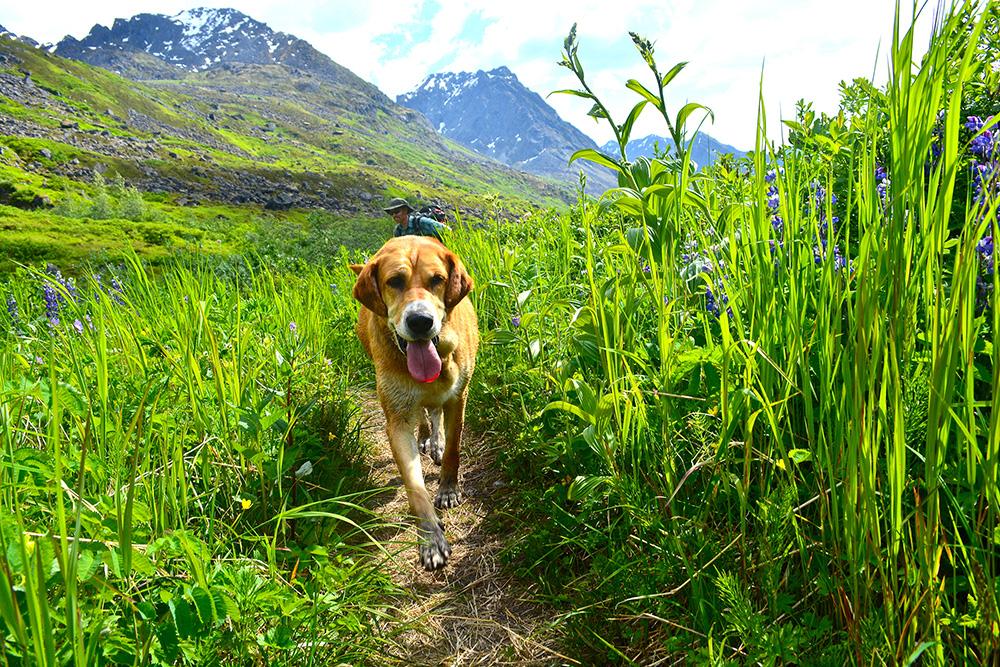 Learn how to take awesome outdoor photos! Join us on April 14th from 6-9pm at the ORC! bit.ly/1suRZRv