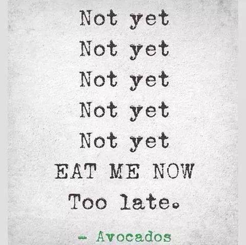 Redd_Manifest's tweet photo. :) #true #quotes #foodinc http://t.co/jJCMznzG0N