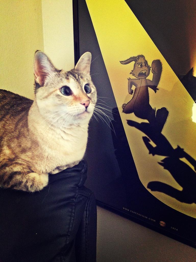 Sam_McClean's tweet image. The real Fluffo! #fluffo #shortfilm #animation