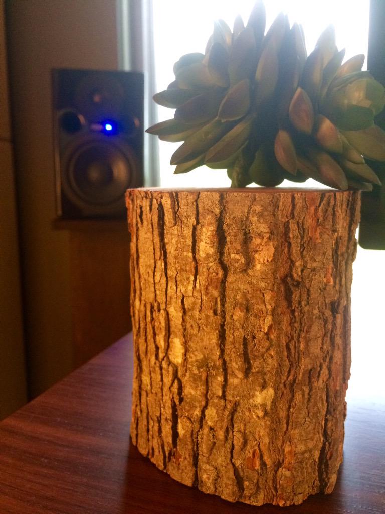 mikekcurtis's tweet photo. It's the little things. Thanks @ambyanng for making my studio feel like home. #foliage http://t.co/gZyQWGm4ke
