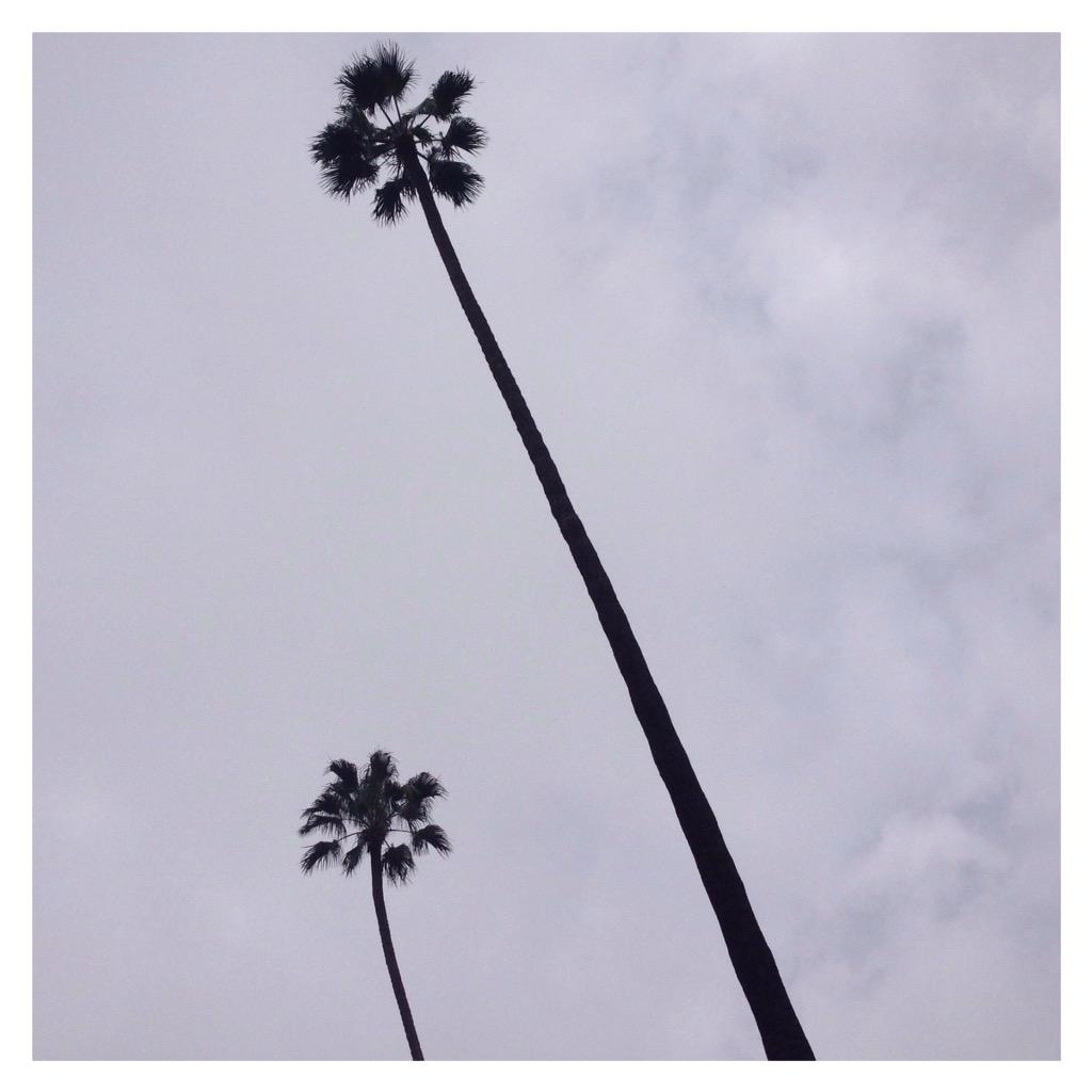 DADesignsLA's tweet photo. a cloudy day is no match for a sunny disposition - william arthur ward #gloomy #la #california #local #dadesignsla http://t.co/q0pmCDacvb