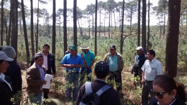 CONAFOR's tweet photo. Grupo Técnico del #ENAIPROS recorren el Ejido Gómez Tepeteno, #Tlatlauquitepec #Puebla http://t.co/w1WOZPF0Hv