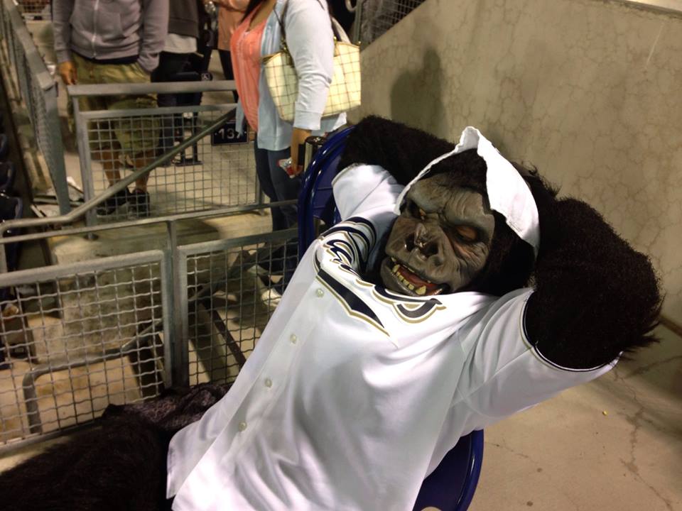 DancingFriar's tweet photo. NO TIME TO RELAX! Go #ApeSpit on these #TrolleyBums! #PPlive http://t.co/BjYTliPS5J