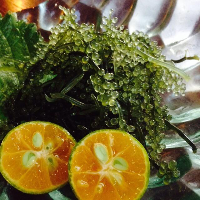 vieatnrun's tweet image. Island Food from travelpalate. #shikuwasa and #seagrapes are derishussssss. #iriomote #ishigaki #okinawa #japan #fo…