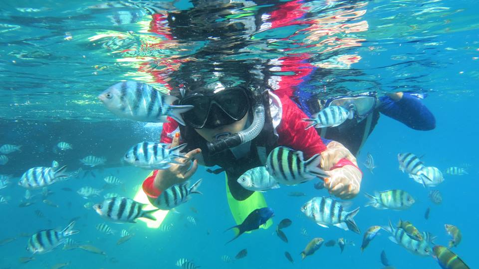 mataangintour's tweet photo. Trip Karimunjawa 1-3 &amp; 15-17 Mei |  765k/org | homestay twinshare | all in 6x makan | MP Jepara | 085640786384 WA http://t.co/zCSkfLBKPC