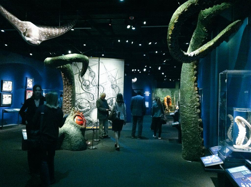 Denver Museum tweet media