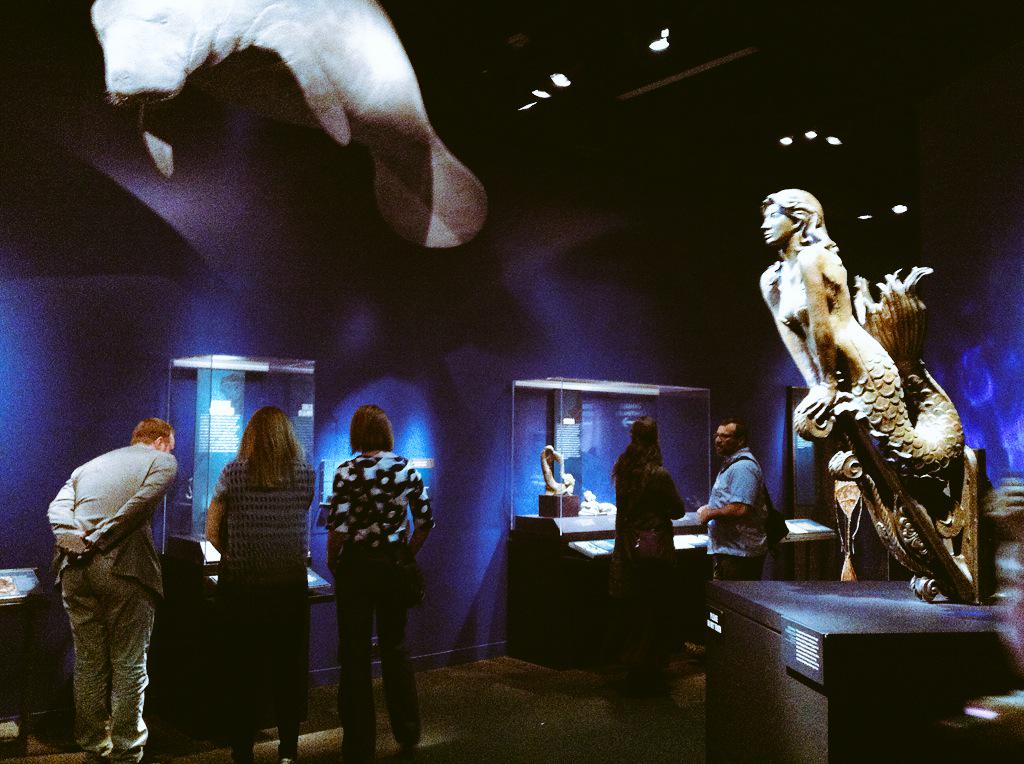 Denver Museum tweet media
