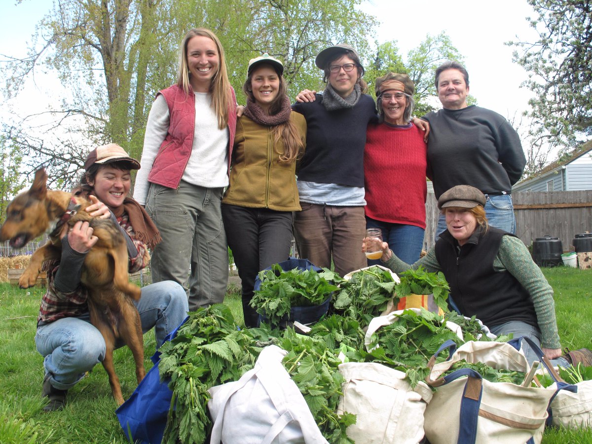 oldgrowthales's tweet photo. Urtication Ale (Nettle Ale) has been brewed!  Thanks to all for the harvest and brew day! #nettles #springbrews http://t.co/f3PPcTMq3s