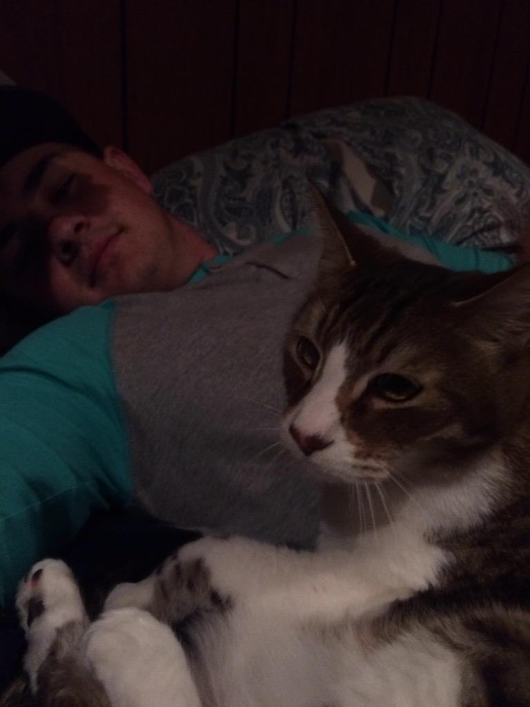 CatnamedJonah_'s tweet photo. Chillin like a villain 😋 http://t.co/sPQg0934RK