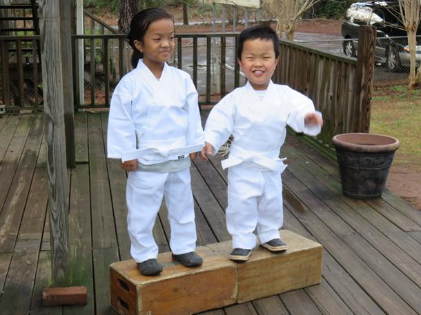team7lj's tweet photo. @TLC @LMNOTV Karate started in Japan according to Alex! #pushupsareeasy #imhungry #greenbelt #pinkbelt #7LJsdoitall http://t.co/xhmgraB3Hr