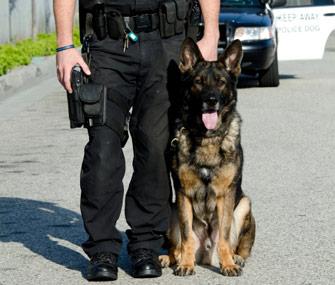 Police Dog’s Death Inspires New Law vytm.in/nR6qEQ #puppy