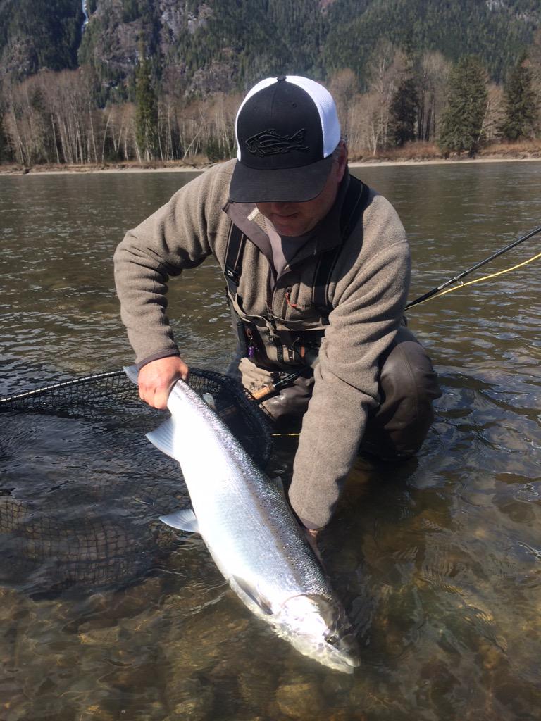 Fresh steelhead from the sea #kitimatlodge