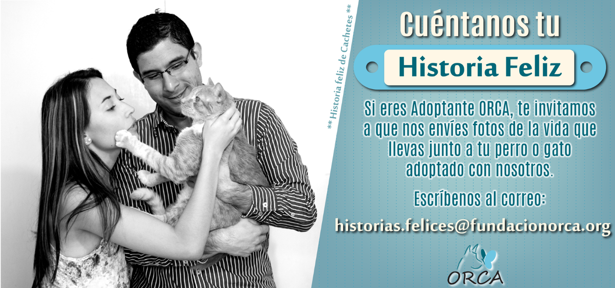 lenteamigo's tweet photo. Campaña diseñada para @fundacionorca. La fotografía fue proporcionada por la fundación. http://t.co/96rpeLRrfu
