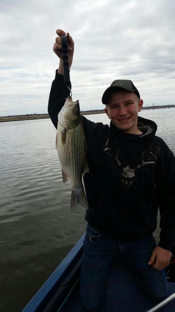 Casting Bait (@casting_bait) on Twitter photo 