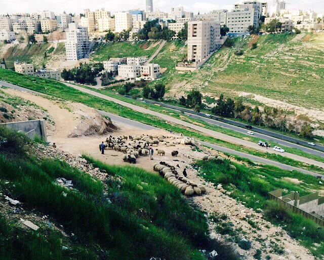 Print Express (Print_ExpressJo) Twitter