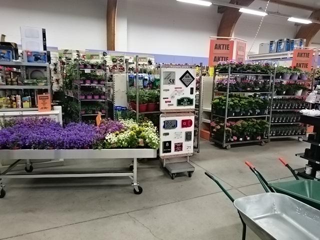 Formidoleeuwen's tweet photo. Onze plantjes staan klaar om naar buiten te gaan voor de plantjesmarkt vanaf 9uur! #formido #benedenleeuwen http://t.co/VDuOnixb3w