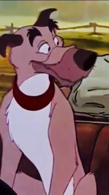 GrumpyGrey_Dog's tweet image. #Online ♥️