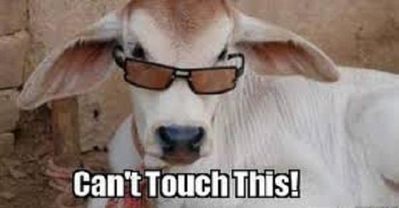 RookieStew's tweet photo. 9 Meaty Things You Might Not Have Known About The Beef Ban In India. http://t.co/tJwsyI6fMh #BeefBan http://t.co/1UBcIki3vI