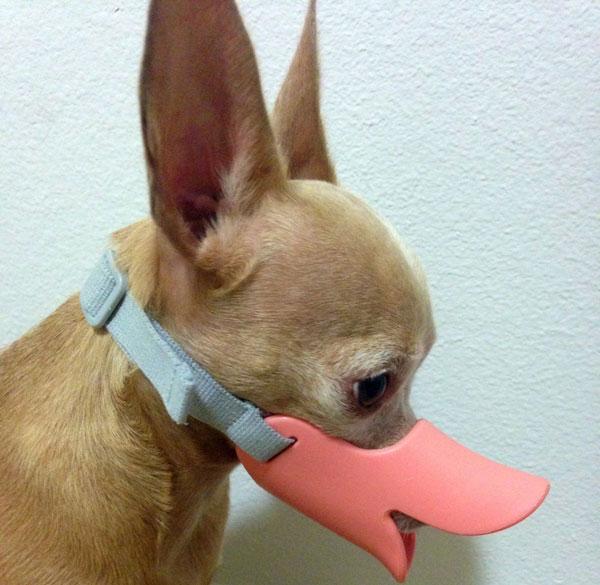 duckbill muzzle