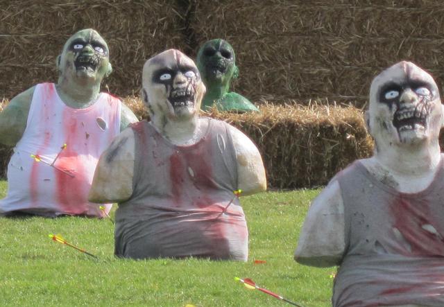 With our finger always on the pulse of popular culture.We review the latest Zombie 3D targets. archers-review.com/archery-kit/zo…