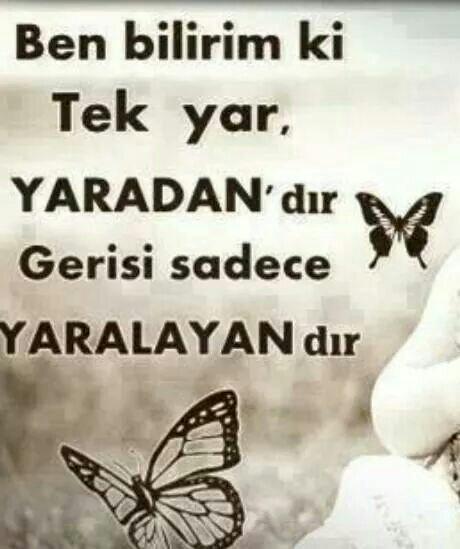 Ramazan Tatlıci (@2a86710205f448d) on Twitter photo 