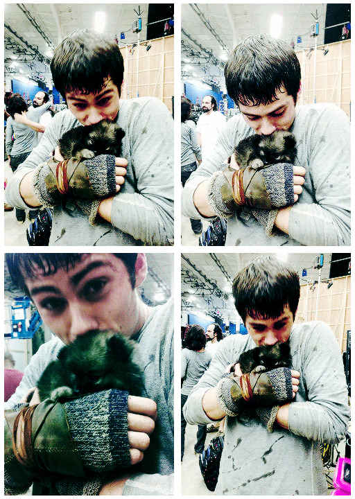 I'm going to bed. I'm sorry I couldn't vote more. Have Dylan with a puppy as my apology. #VoteThomasMTV