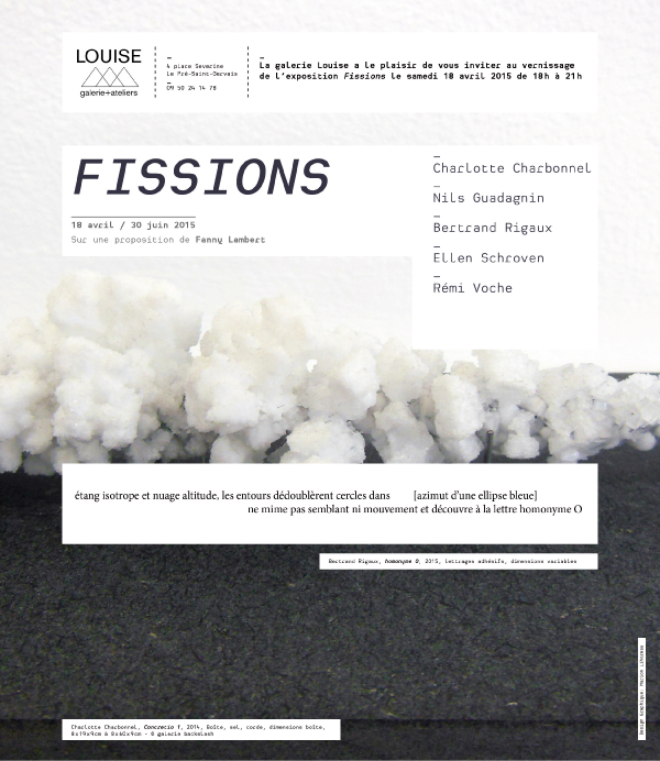 BackslashArt's tweet photo. @ChaCharbonnel #Fissions #NilsGuadagnin, #BertrandRigaux, #EllenSchroven #RémiVoche @FanLamb à la Galerie Louise​ ! http://t.co/dXviyQwEKj
