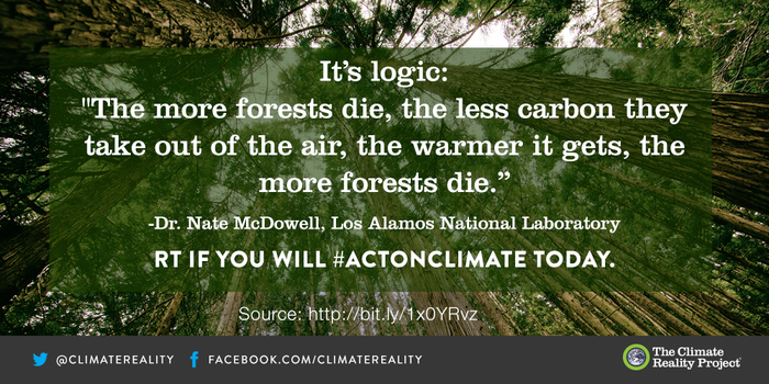 ClimateReality's tweet photo. “The more forests die, the less carbon they take out of the air, the warmer it gets, the more forests die." http://t.co/9TRU8EVB4v