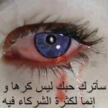 مصطفى العذاري (@1dcf1ef1737d4ac) on Twitter photo 