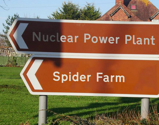 Joelwillans's tweet photo. What could possibly go wrong? http://t.co/rzMLpD8Mzo