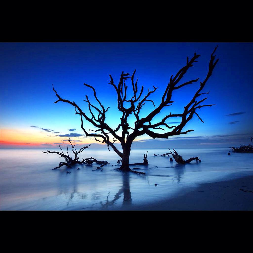 DStrattonPhoto's tweet image. I am so in love with the sea and to be able to capture this magnificent ghost of a Live Oak is truly a living dream.