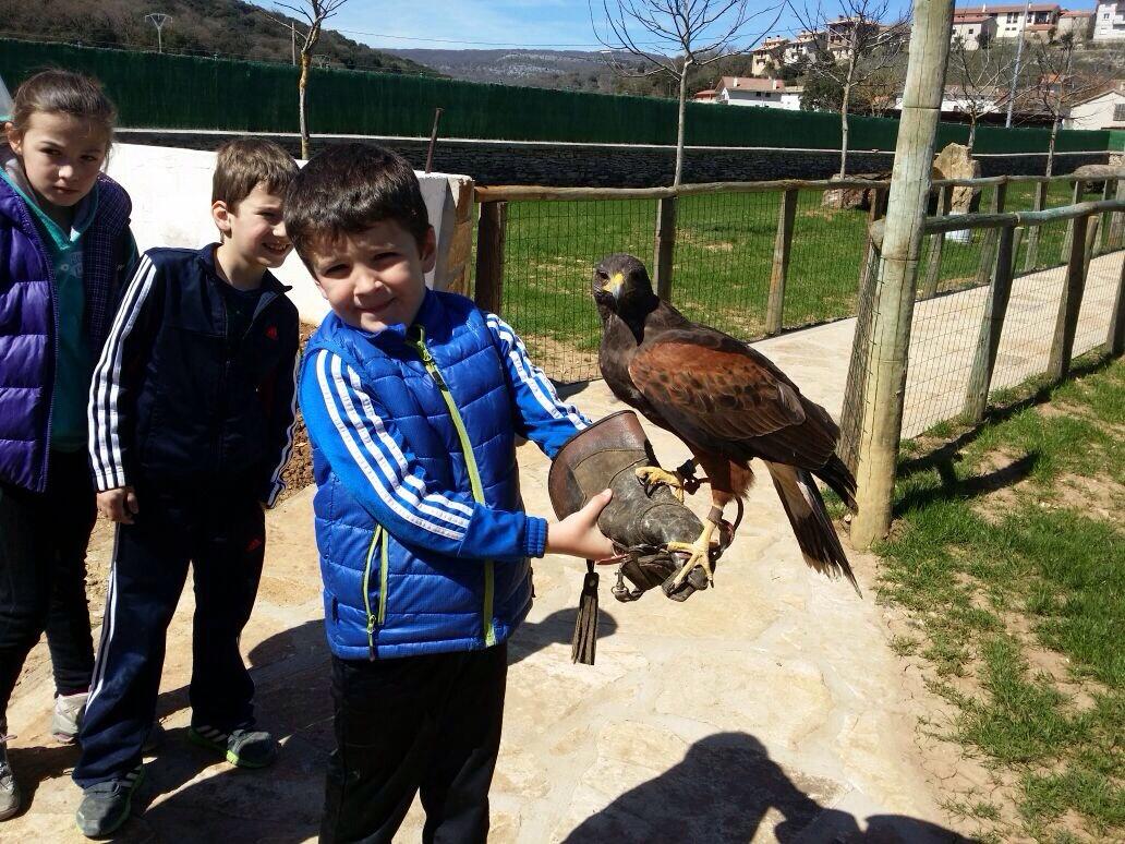 basabere tweet media