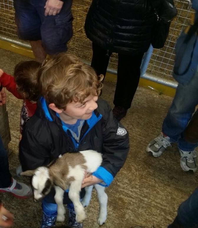 basabere tweet media