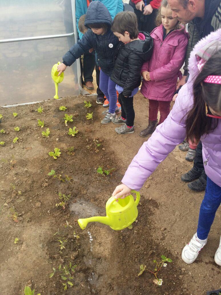 basabere tweet media