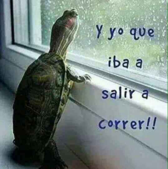 Vanessitafv's tweet photo. Para los indecisos  que es agua y fresquita y aclara las ideas no es ácido !! Asique a la calle a correr !! http://t.co/0KOBwa1X8y