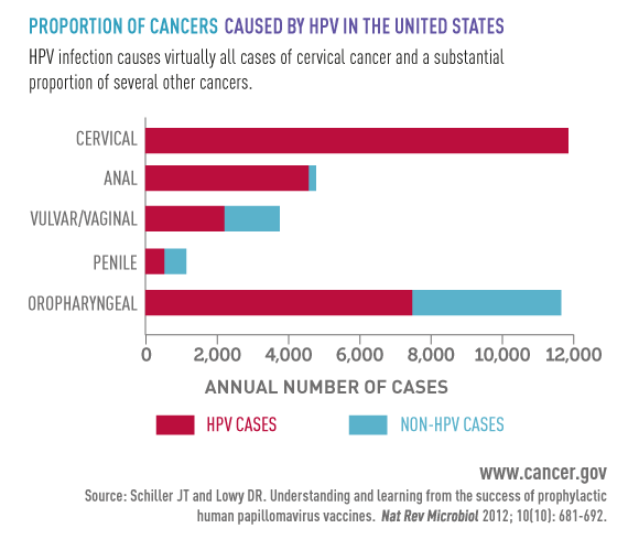Which cancers are caused by infection with a virus called HPV? 1.usa.gov/1CwDI8p #NCIresearchfuture