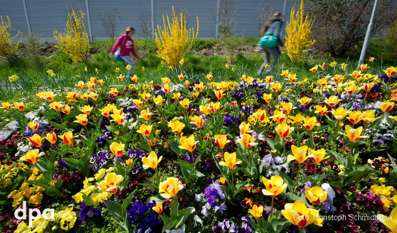 dpa's tweet photo. Der Frühling ist da. (amr) http://t.co/Qc6ookTFqj