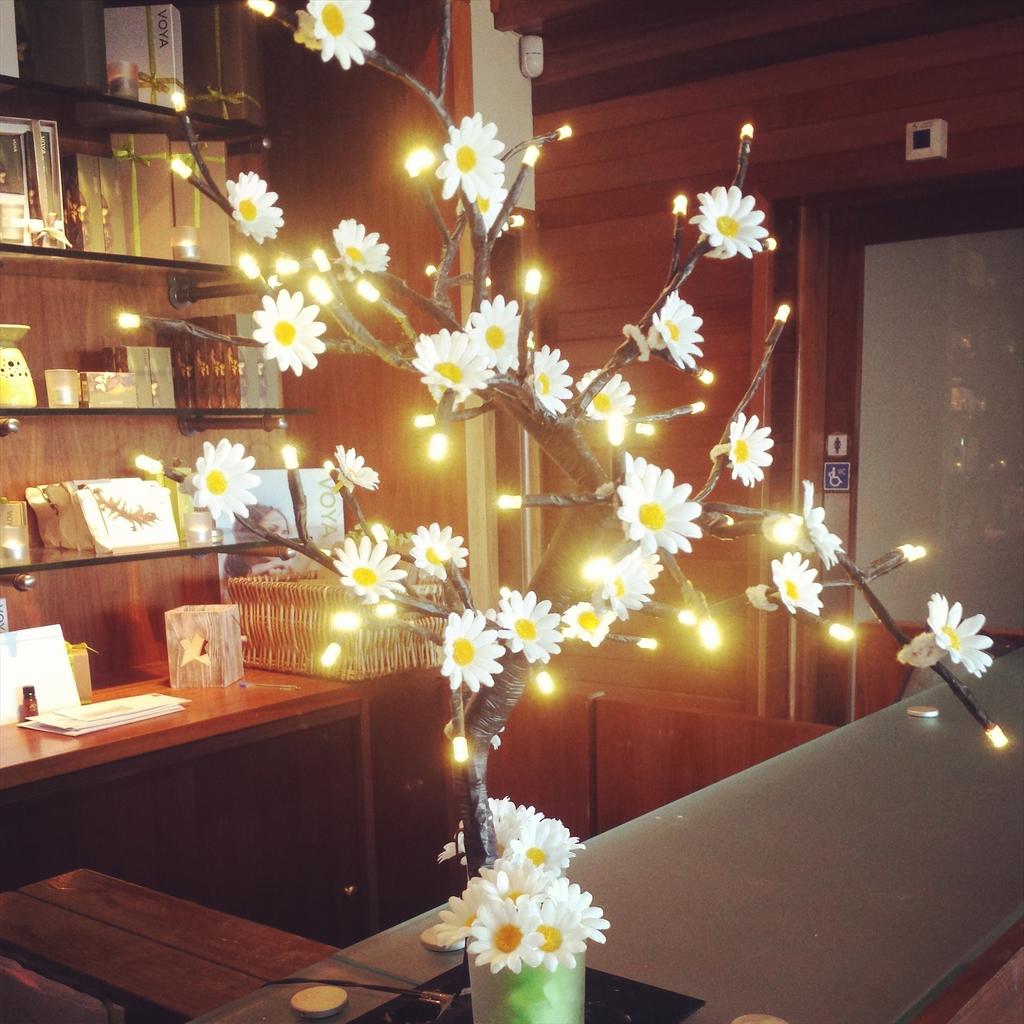 #spring #sunshine #daisy