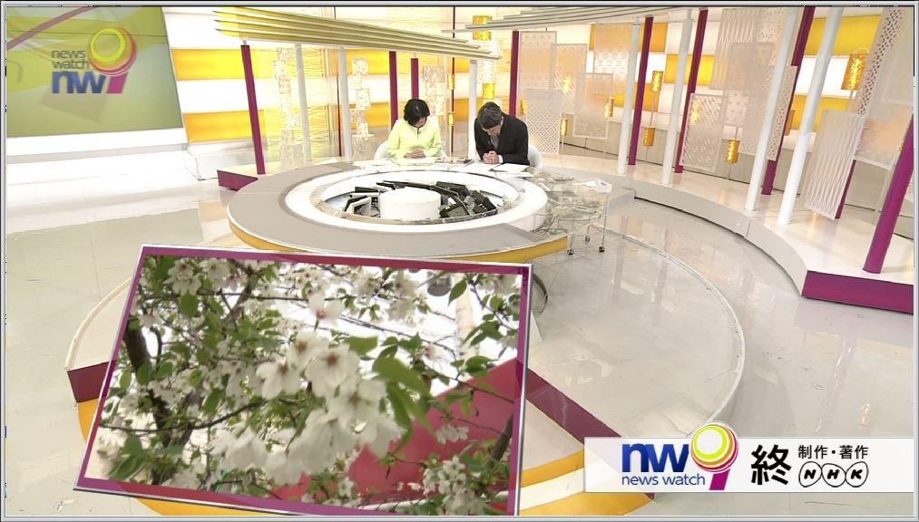 偽 工藤 俊作 エンディング 明日がいい一日でありますように 河野憲治 河野憲治 Newswatch9 Nw9 Nhk Http T Co 47i5eqnpfm Twitter