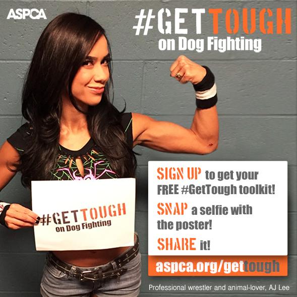 ASPCA's tweet photo. TODAY is National Dog Fighting Awareness Day and it's so easy to get involved! http://t.co/l4w2UvDFMn #GetTough http://t.co/O3PdmBrDTo