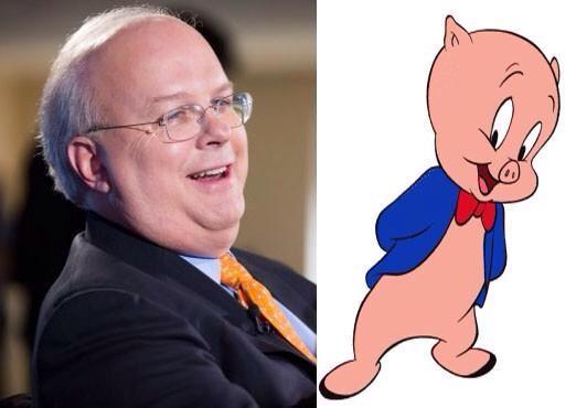 Porky Karl Rove surrenders to ObamaCare