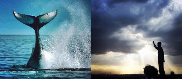 --> "<a href="/TheSAnews/">TheSouthAfrican.com</a>: Don't miss out on these 20 things to do for free in #Mzansi
thesouthafrican.com/20-things-to-d… " #travel