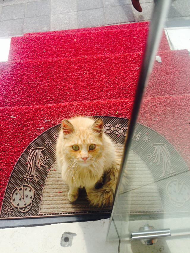 MrsTuq's tweet photo. Bakma oyle alamam seni içeri😞😣😒 http://t.co/k9w3q43lKH