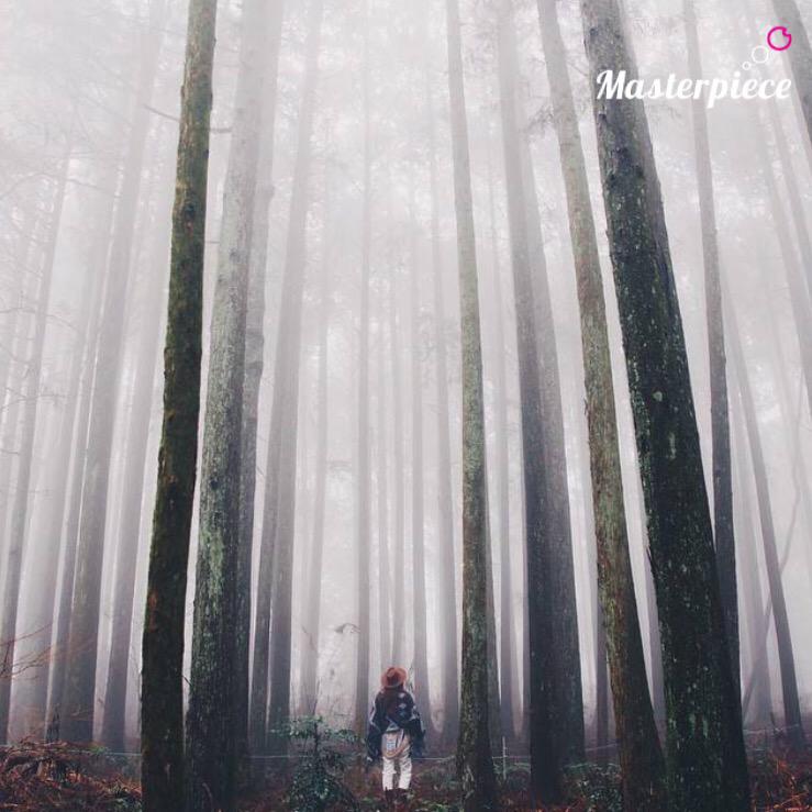 ig_masterpiece's tweet photo. Stunning feature this afternoon @ig_masterpiece. Shot taken by @ima_ju. Visit our Instagram to be featured! http://t.co/fWQfdIyQG2