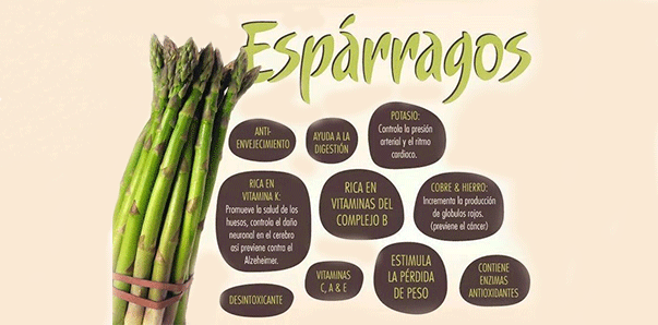 ProConsumidorRD's tweet photo. #NotiConsumo El espárrago, el rejuvenecedor por excelencia:Link➔
http://t.co/I7NUiaNSJs http://t.co/m8rnOXAebJ
