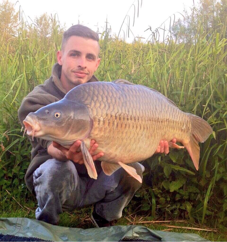 Below The Surface tweet media