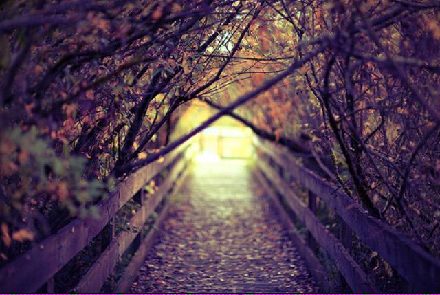 x_crazyvibes_x's tweet image. I love this picture!!!