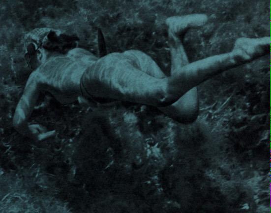She kept swimming out into life because she hadn\t yet found a rock to stand on. -Barbara Kingsolver. Happy birthday! 