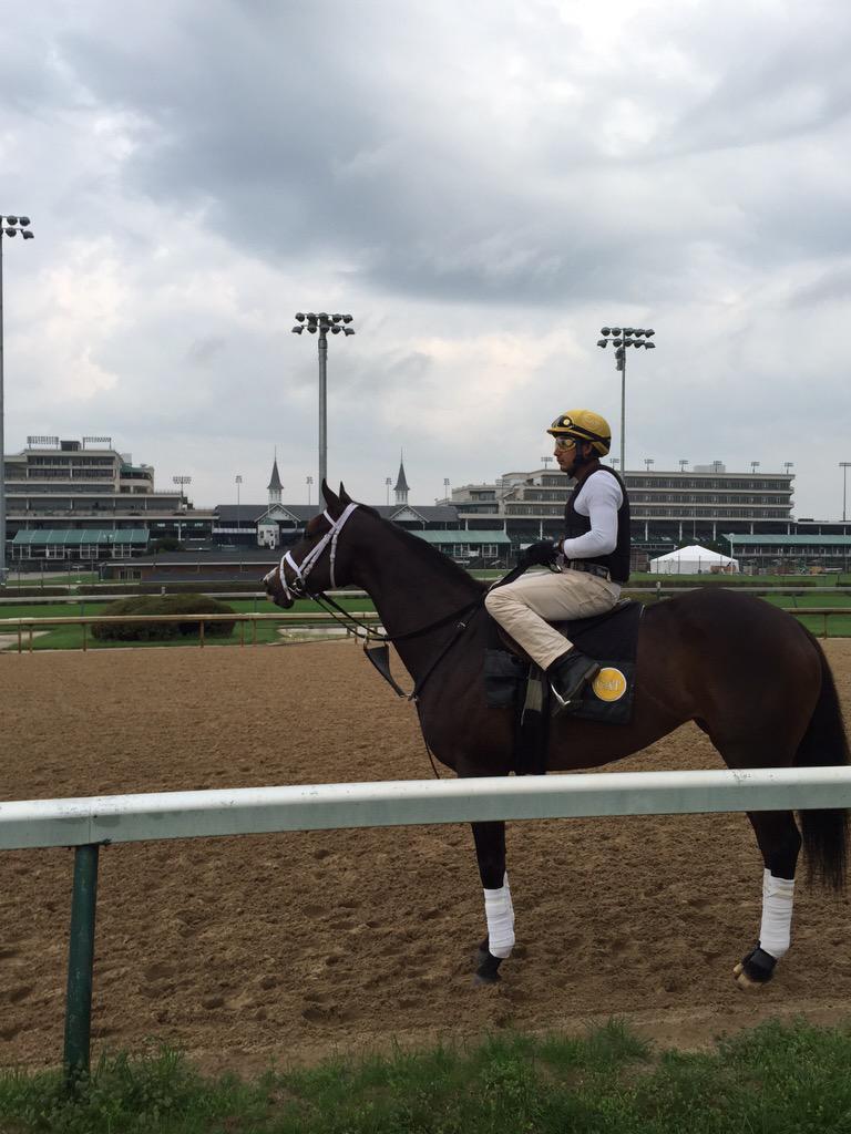 The Queen <a href="/ImAlreadySexy/">I'm Already Sexy</a> <a href="/RacingCatalano/">Catalano Racing</a>